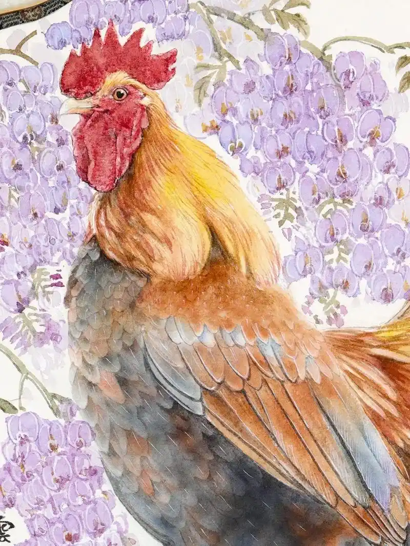 帅气紫藤公鸡扇面.一家四口属相鸡之儿子#工笔画 #原创绘画作 - 抖音