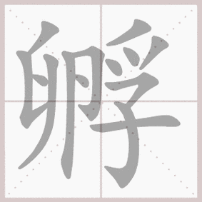 孵的拼音孵的笔顺孵的意思