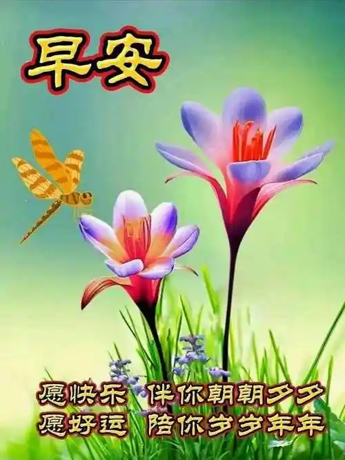 黎明带来美好的祝福每早晨,灵敏的快乐,灵敏的美好,都是最开心,健康