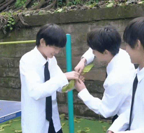 有在许愿 左航跟张极能不能更多一些互动