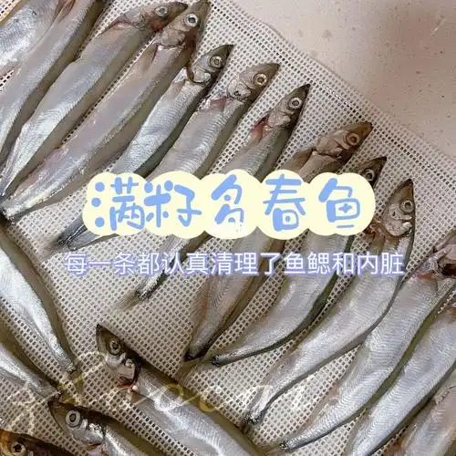 招财宠物烘焙满籽多春鱼78