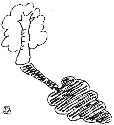 儿童简笔画树和影子的画法