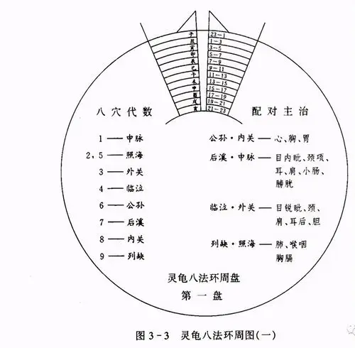 中医针灸的灵龟八法及其针灸实践医案