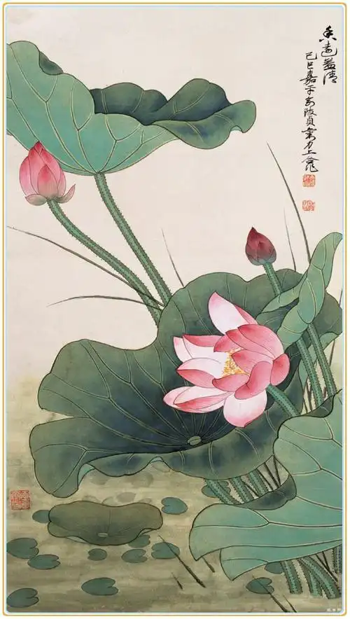 荷花69工笔画荷花作品欣赏视频丨工笔荷花蜻蜓画法——分染曙红钛白