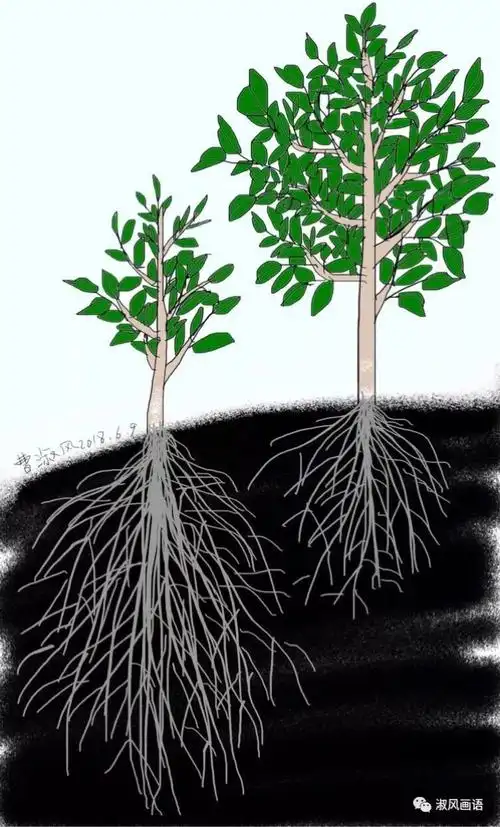 根深,才能经风雨!