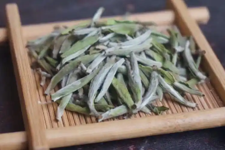 福鼎白茶&政和白茶