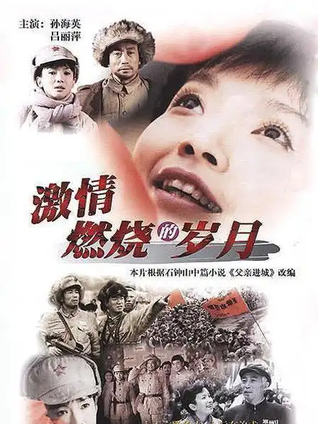 激情燃烧的岁月1