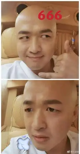 明星玩梗微信新的表情包杨洋苏有朋包贝尔谁更搞笑