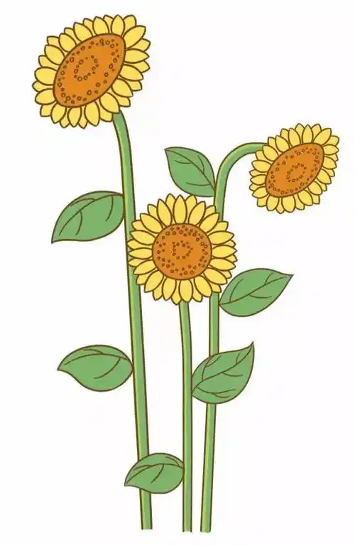 给向日葵仔细地涂上颜色,作品完成! 简易向日葵简笔画