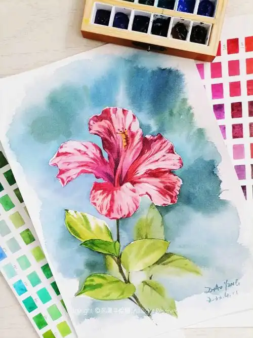 扶桑花水彩分享步骤完成线稿