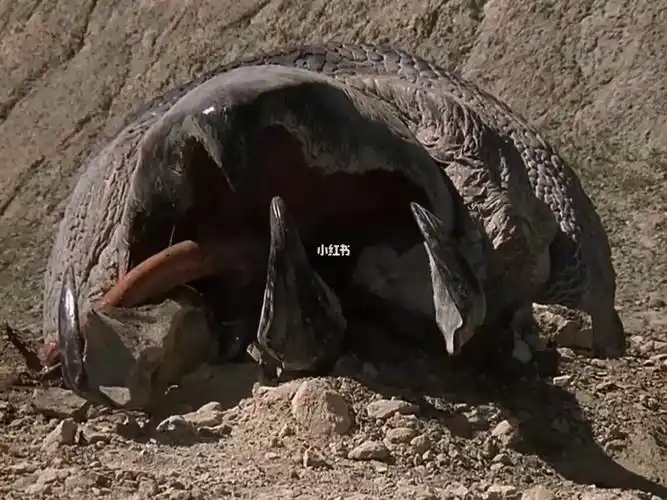 男子活捉受伤巨虫虫肚子钻出3头恐怖怪物