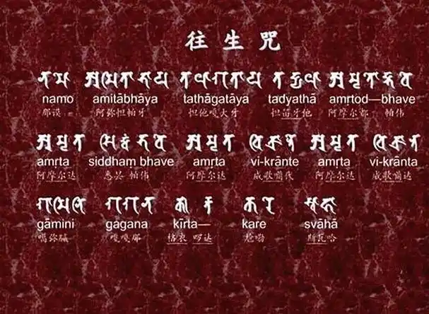 p>往生咒是佛教 a target="_blank" href="/item/净土宗/3535" data