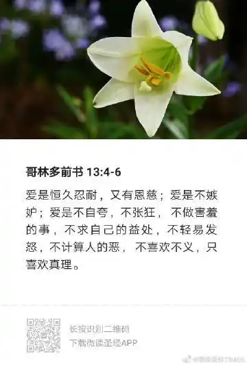 来自耶稣爱你79406 - 微博