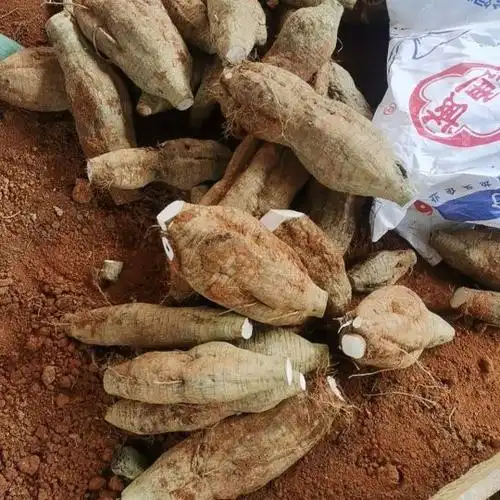 广西产地直发葛根鲜葛根粉葛代办直发-阿里巴巴