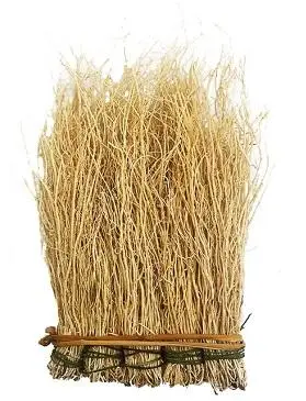 丝线根和什么煲汤最好丝线根有什么功效