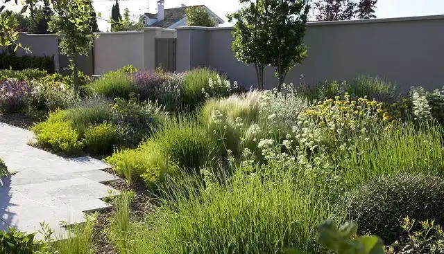 植物配置意向图