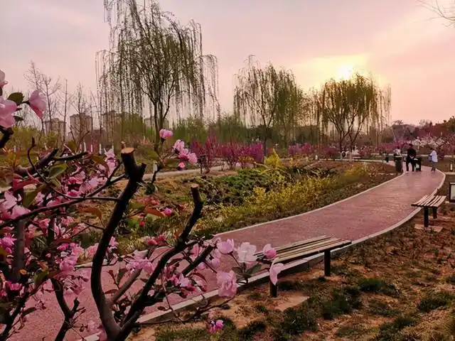 生态鹤壁,免费旅游攻略|鹤壁市|淇县|淇滨区|浚县|森林公园_网易订阅