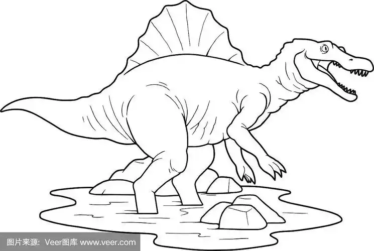 棘龙,已灭绝生物,恐龙,无人,绘画插图