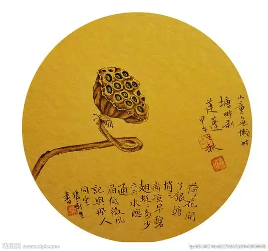 工笔画莲蓬图片