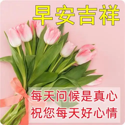 早安问候语,让平凡的日子也充满阳光,早上好!早安图片