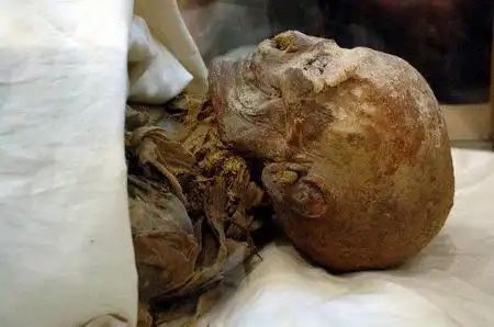 以前发现的一具体态丰腴的女性木乃伊,就是埃及最强大的女法老,女王