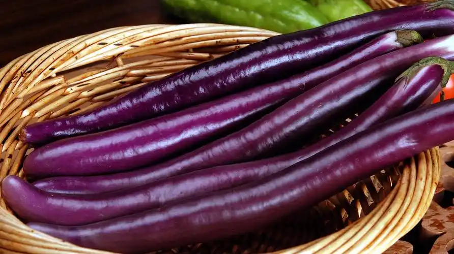 茄子怎么做好吃5个视频