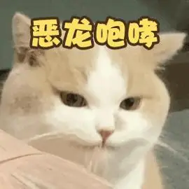 萌宠 猫星人 恶龙咆哮 嗷呜 搞怪 呆萌