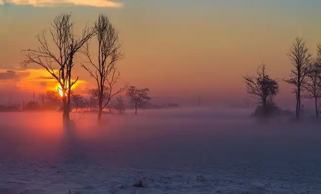 给你一片暖色调的风景
