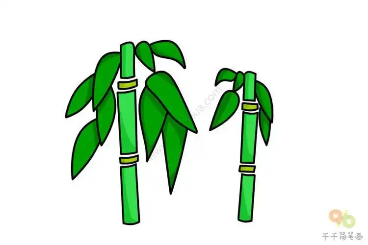 简笔画的竹子绿色