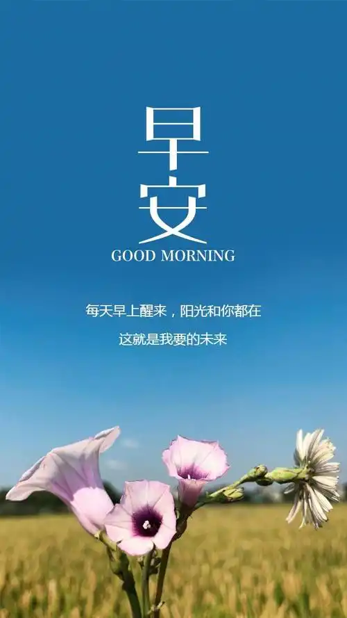 一句早安情话大全