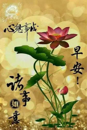 特别漂亮的温馨早安问候语图片最好看早上好表情图片大全,原创清晨