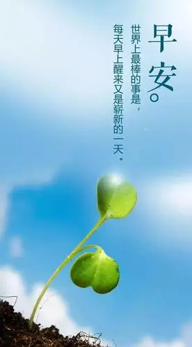 有时候,就是想安安静静,因为真的我累了,早安