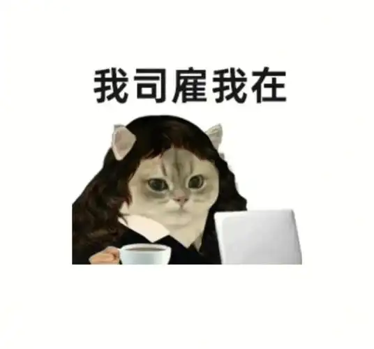 抄作业直接用面试1min自我介绍模板