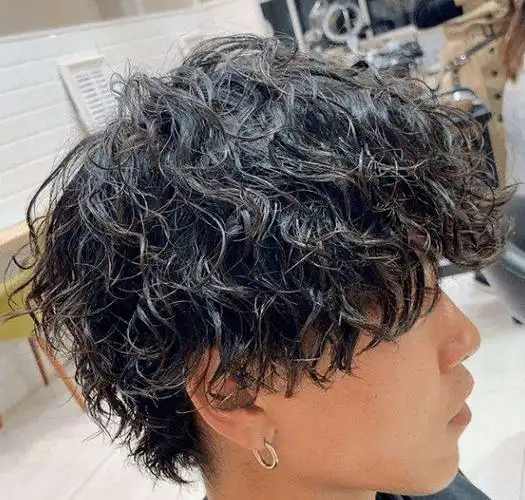 小卷发适合头发比较长,和发量没有那么多的男士,发量太多再一小卷则会