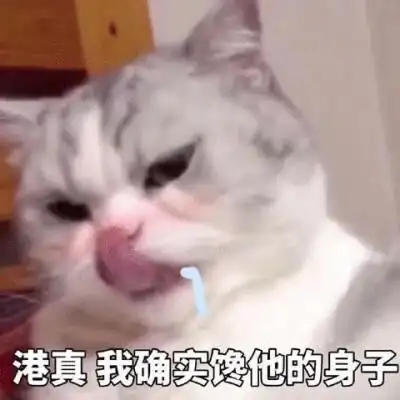 猫猫表情包 港真 我确实馋他身子
