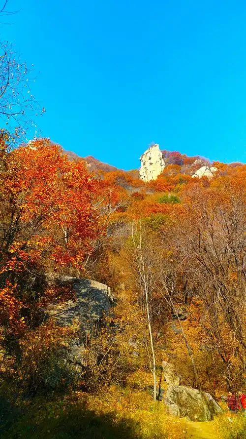 北京怀柔喇叭沟原始森林公园一日游