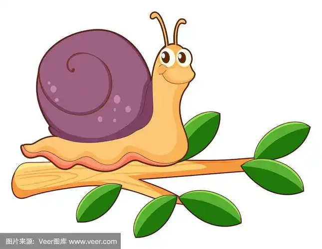 可爱的蜗牛在白色的背景