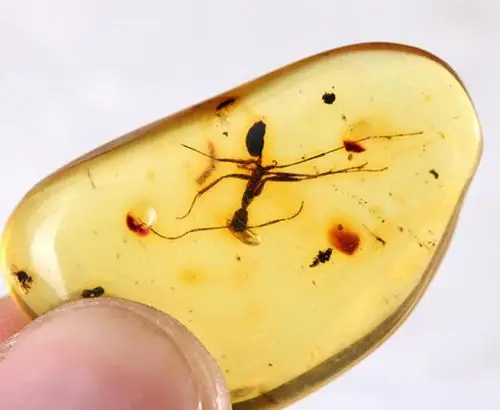 三招教你鉴别虫珀真假值得收藏