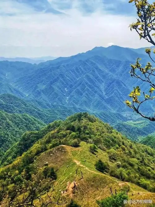 华阳草甸地处秦岭腹地,也是一片罕见的高山草甸,草甸广阔,一直延伸到