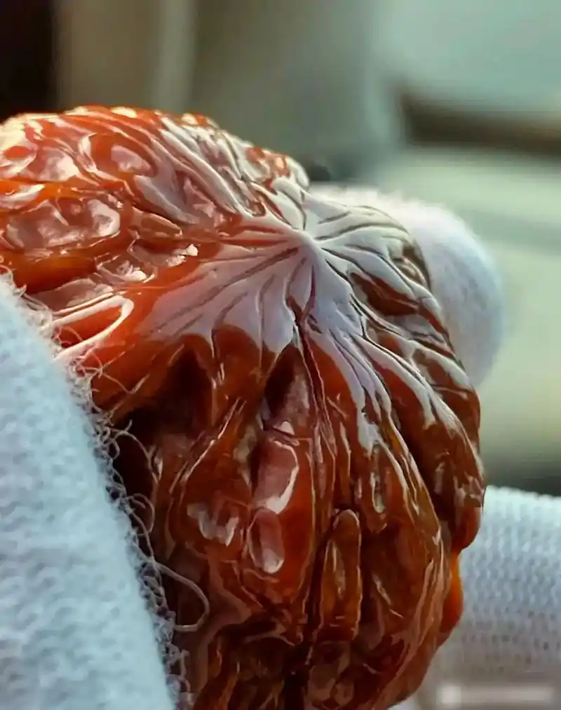 磨盘文玩核桃玉化效果太美了.#抖音图文来了 #热门话题 - 抖音