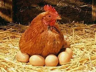 麦穗外二首/文-老景