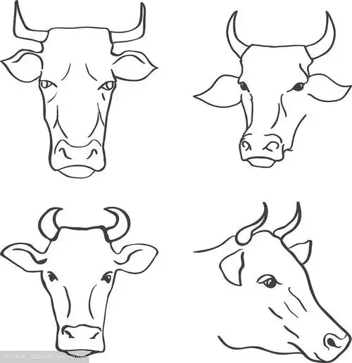 手绘牛头