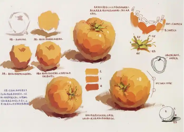 水粉画西红柿的画法单体步骤详解