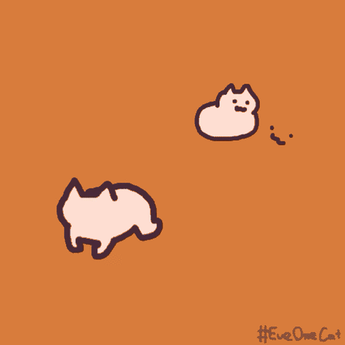 「gif」 可爱治愈猫动图第九弹 cr… - 高清图片,堆糖,美图壁纸兴趣