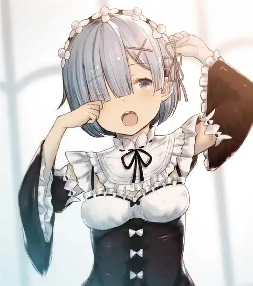 2m 雷姆党自取 看哭了  虽然emt天下第一,但少了雷姆的re0就已经不