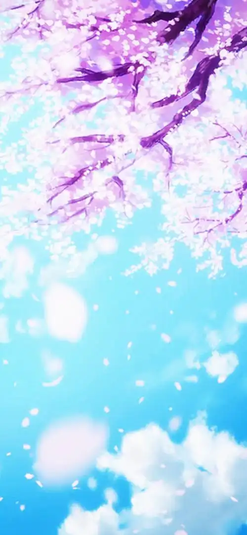 动漫樱花满树烂漫,高清图片,手机壁纸