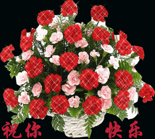 500_450gif 动态图 动图