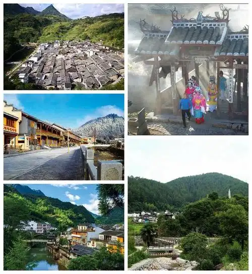 庆元县5村入选丽水市精品花园乡村