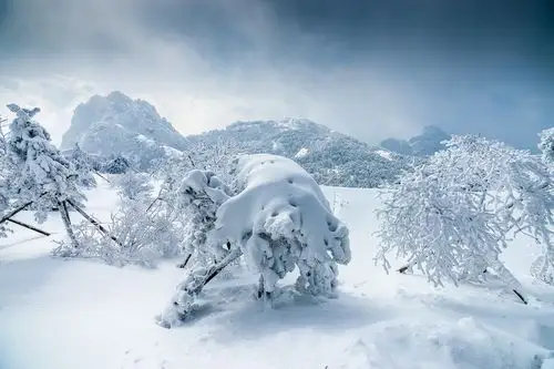 其它 能把自己送到雪地的人 写美篇背景来源百度网