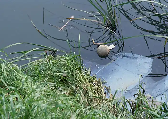 水污染图片第13张